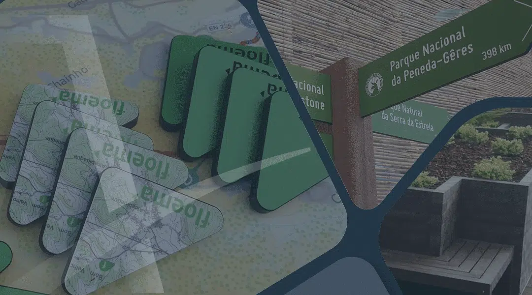 Floema Case Study: Rumo ao Alto Desempenho