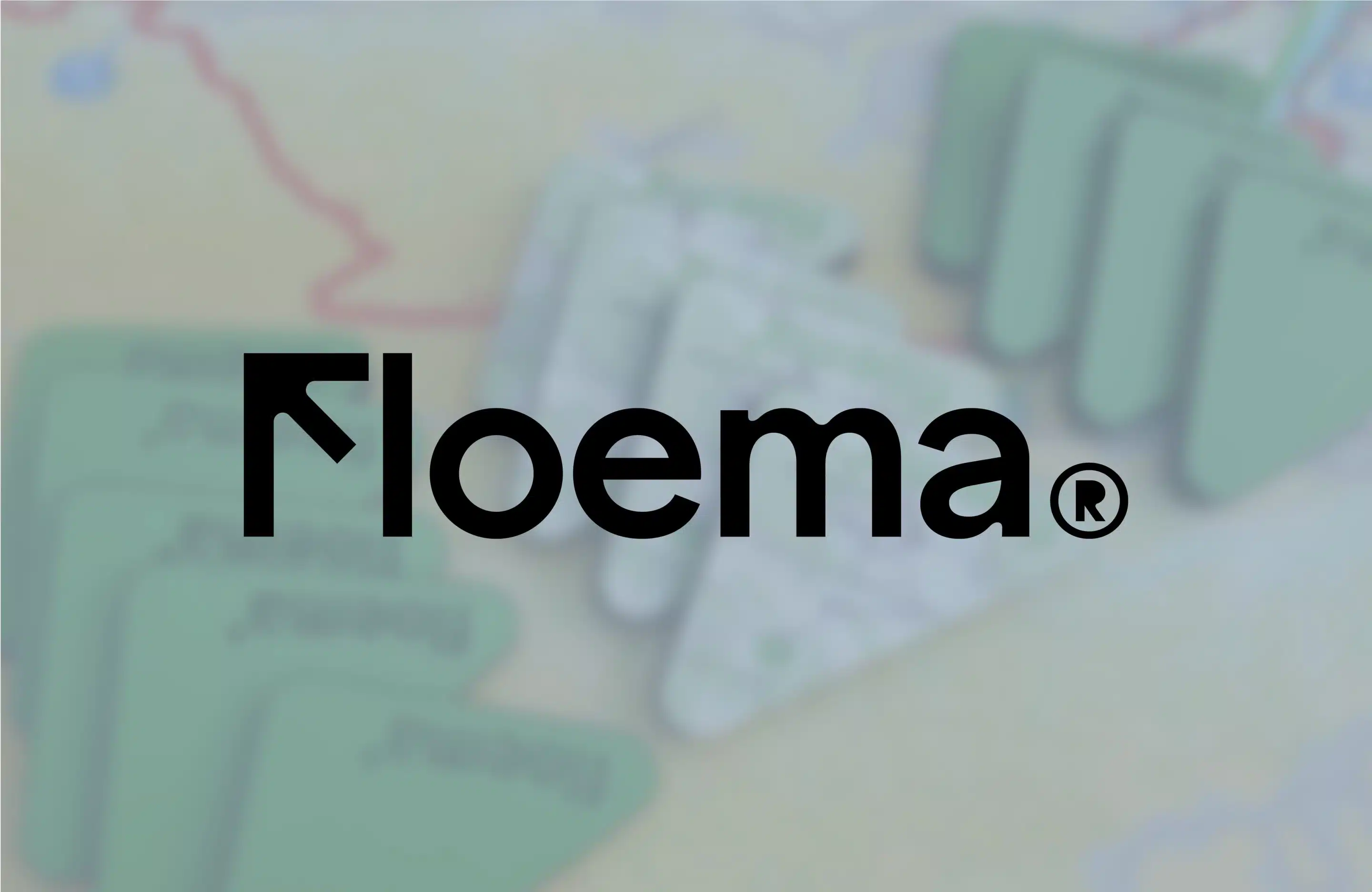 Case study Floema