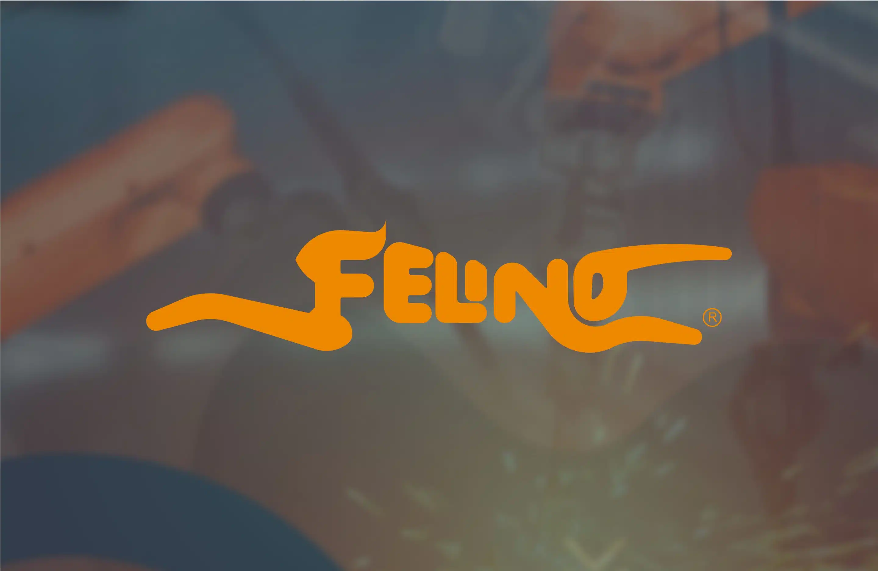 Case study Felino