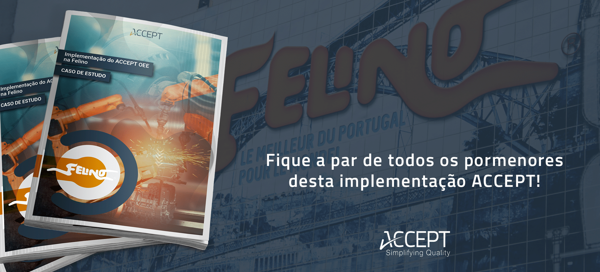 Implementação do ACCEPT OEE na FELINO Felino Case Study
