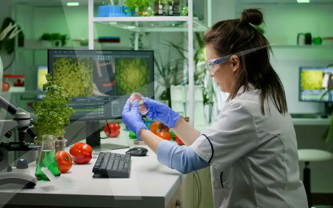 Boas práticas de Higiene e Segurança Alimentar