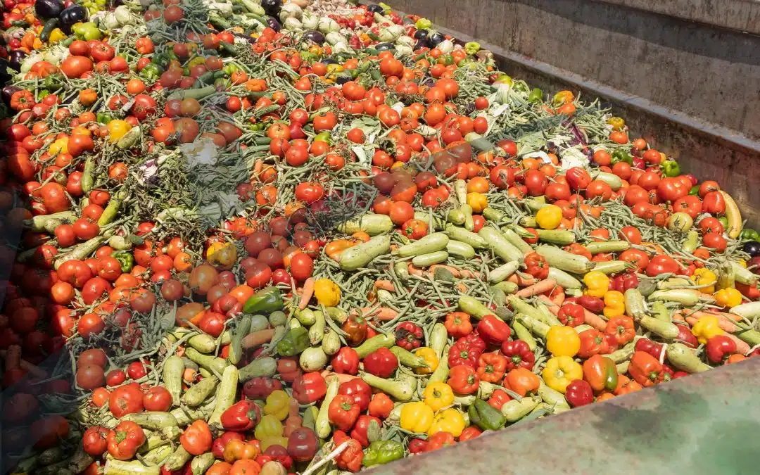 Desperdício Alimentar na Indústria: como superar o desafio?