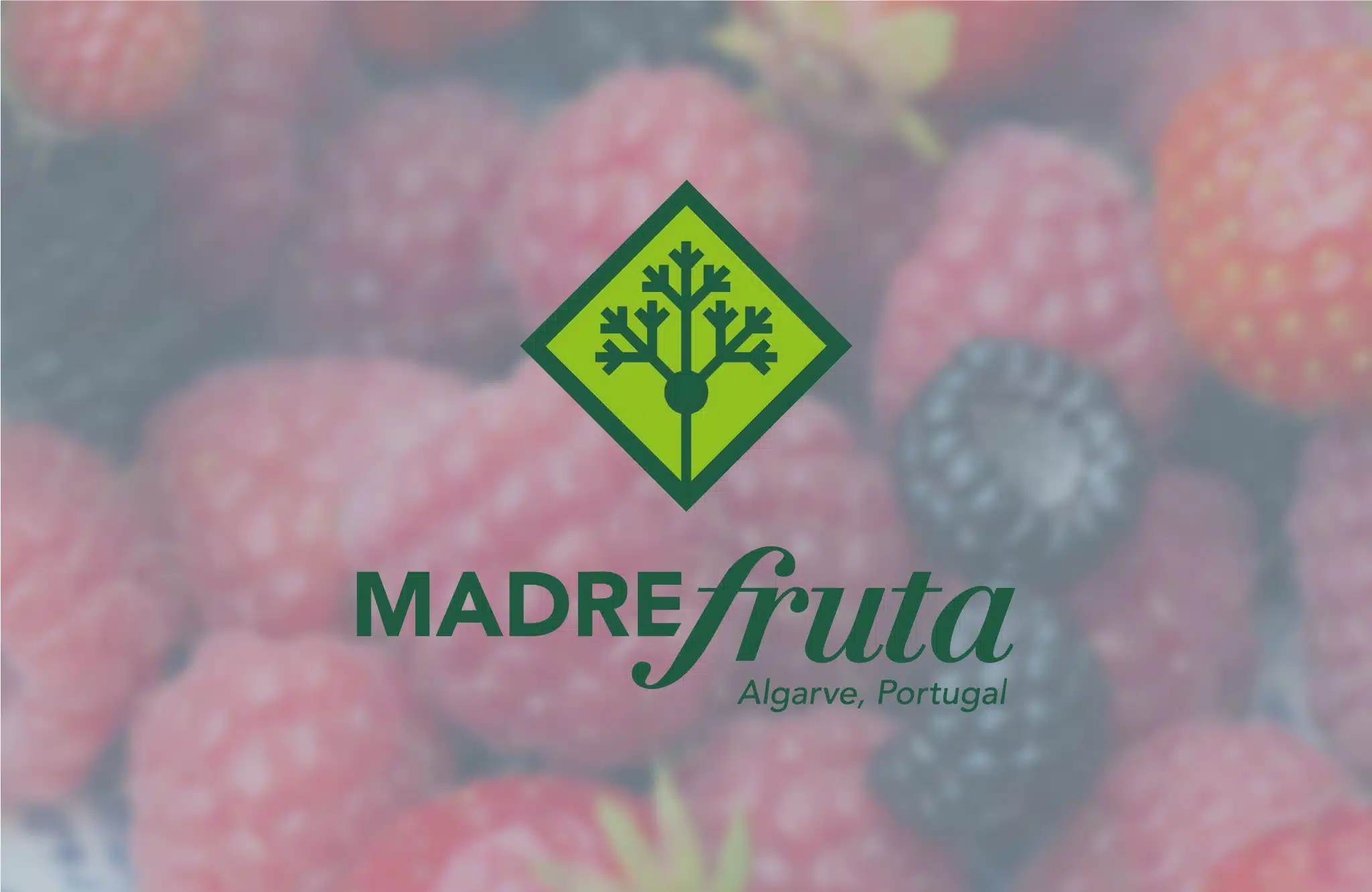 Case study Madre Fruts