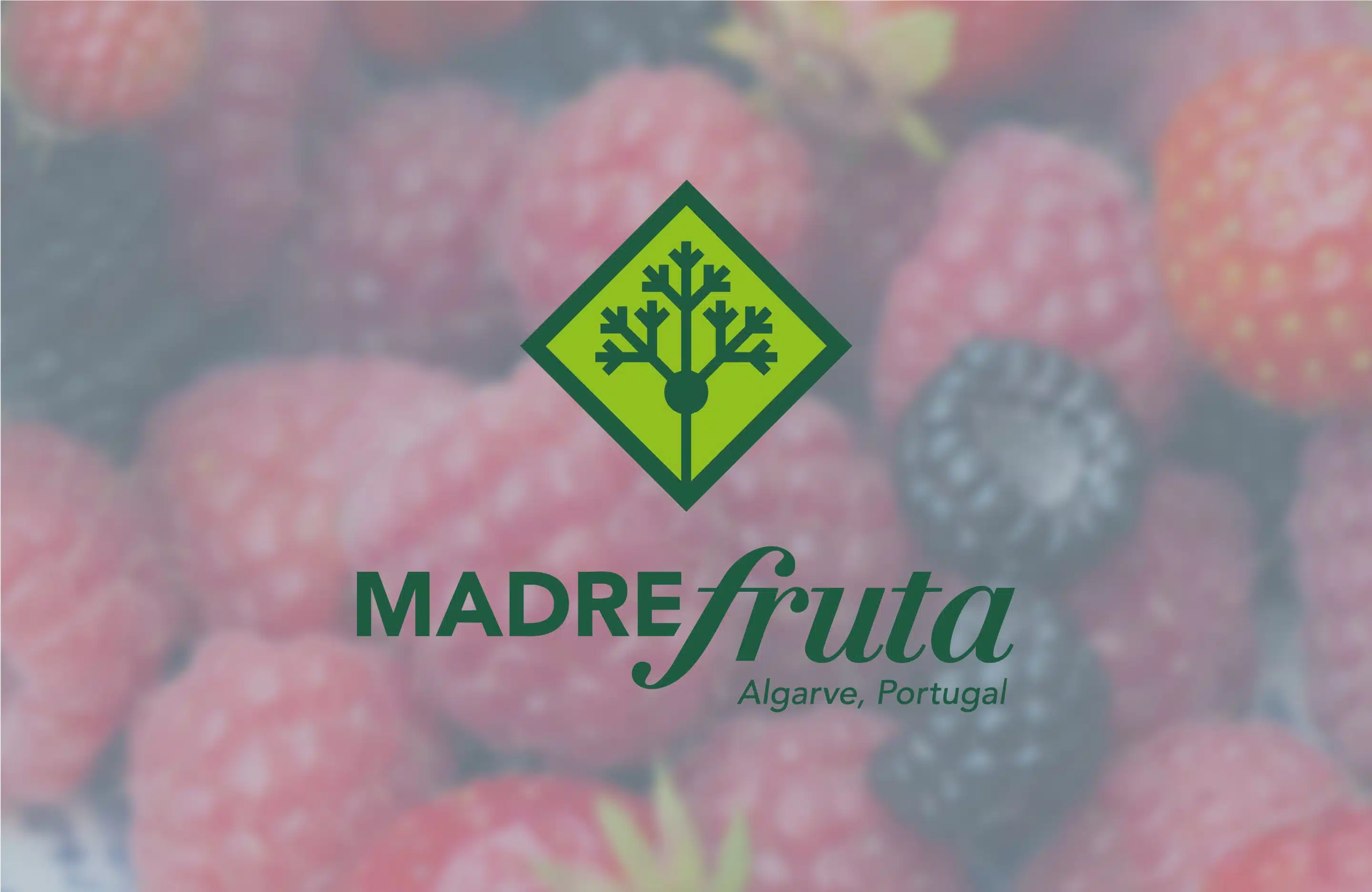 Madre Fruta Case Study