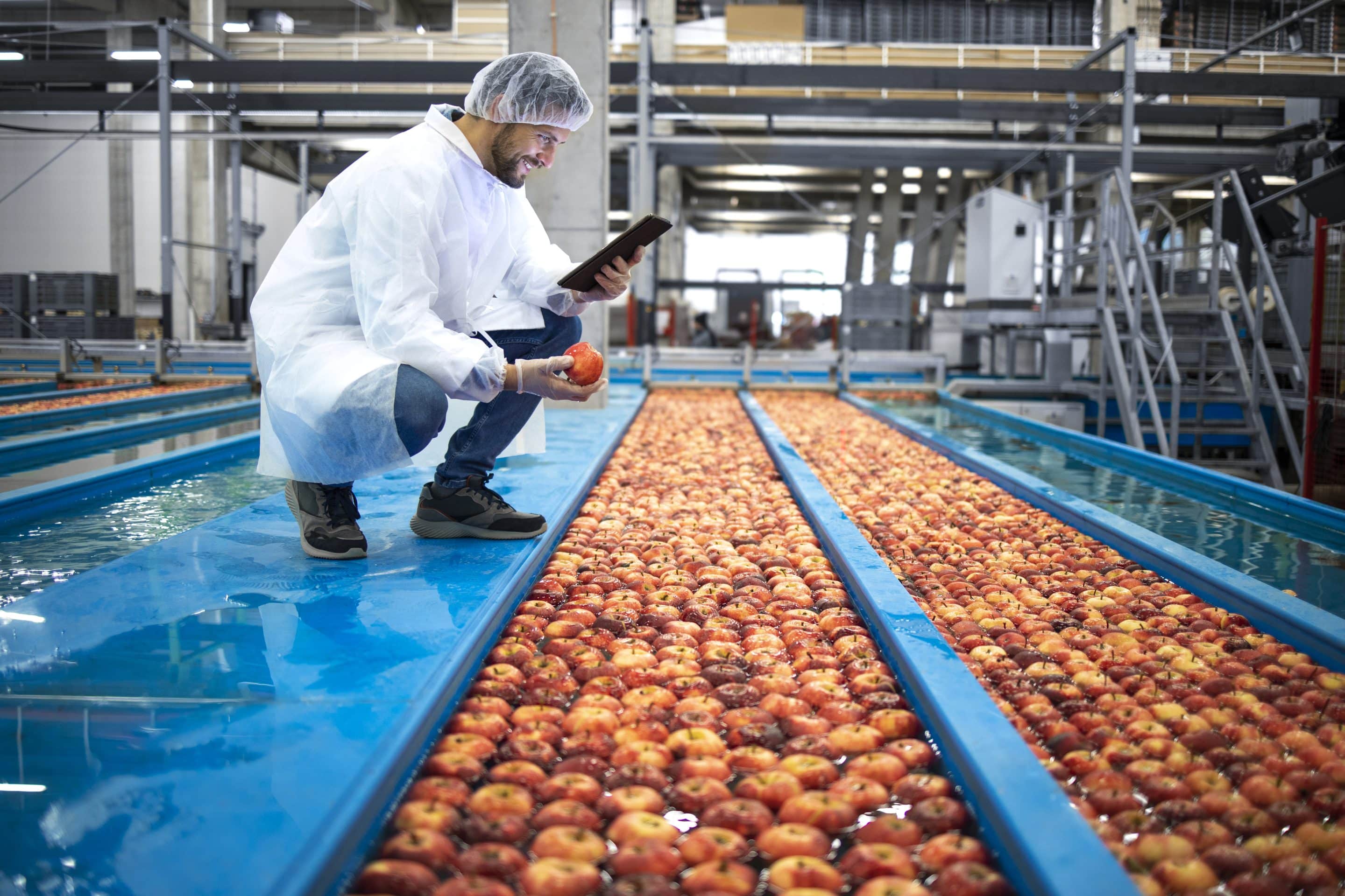 Higiene e segurança alimentar